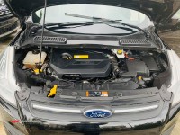 71806040_2604336449618761_2013014595693707264_n